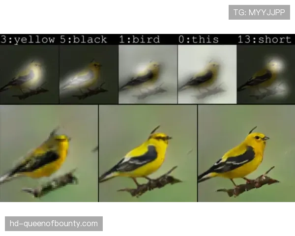 产业动态：体育科技公司获得融资，致力于开发AI模型预测对手关键回合战术选择